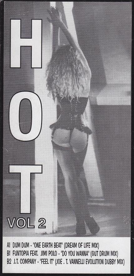 Various : Hot Vol 2 (12", Unofficial, W/Lbl)