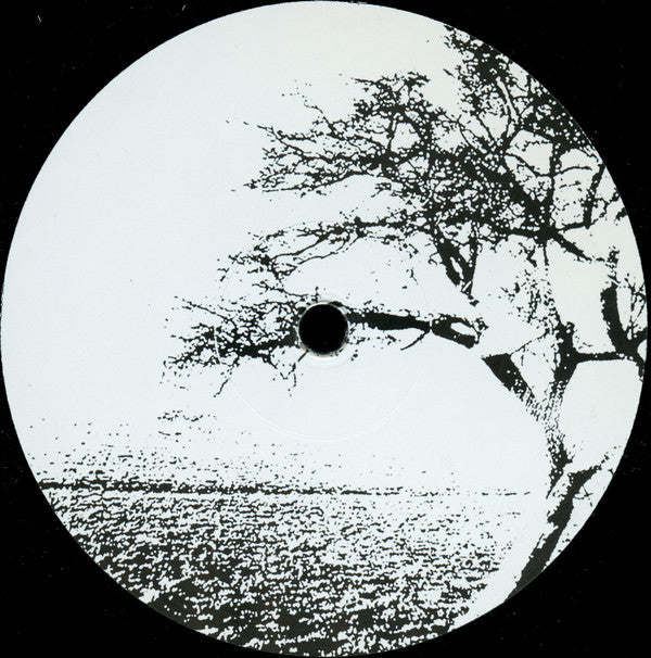 LoSoul : Open Door (12", RE, RM)