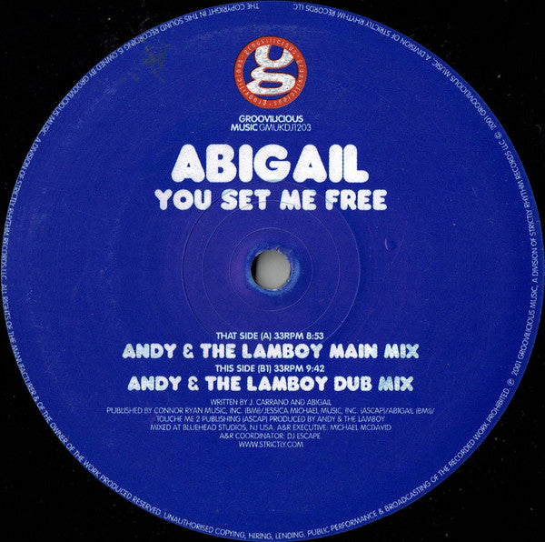 Abigail : You Set Me Free (12", Promo)