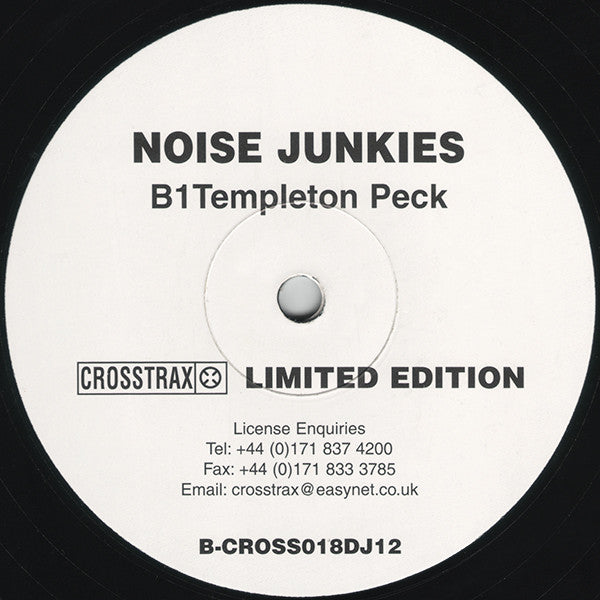 Noise Junkies : Flexible Friend (12", Ltd)