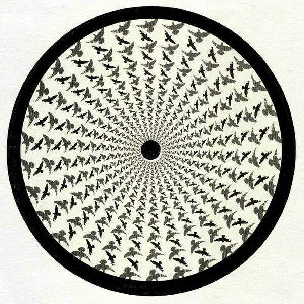 Seb Zito : Theory To Start EP (12", EP)