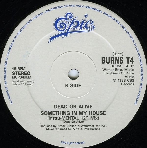 Dead Or Alive : Turn Around And Count 2 Ten (The Pearl And Dean "I Love"-BPM Mix) (12", Single, Mat)