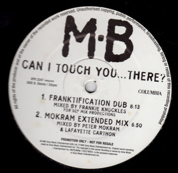 Michael Bolton : Can I Touch You…There? (12", Promo)