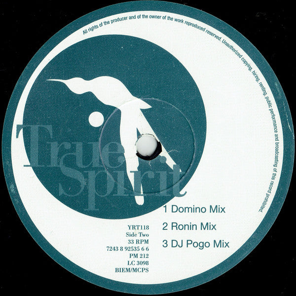 Carleen Anderson : True Spirit (12", Single)