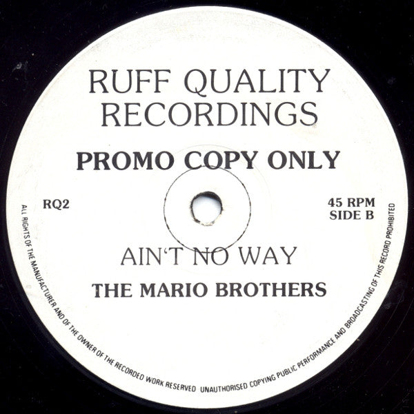 The Mario Brothers : Gonna Be (12", Promo)