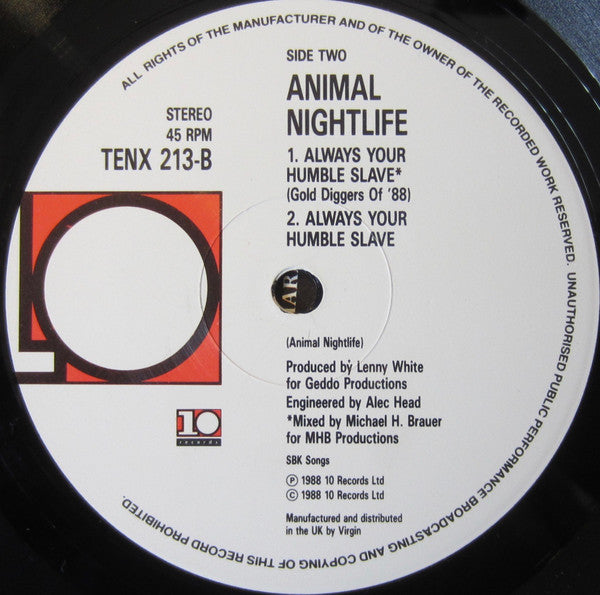 Animal Nightlife : Always Your Humble Slave (12", Single)