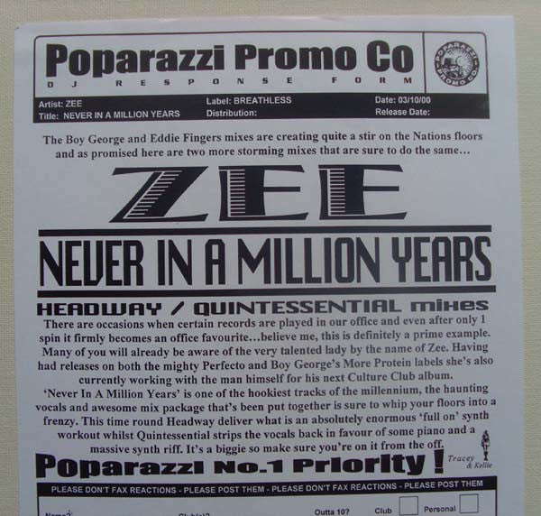 Zee Cowling : Never In A Million Years (2x12", Promo)