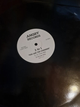 3 To 1 : You Are The Sunshine (12", Promo)