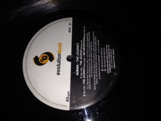 Auriga : The Journey (12")