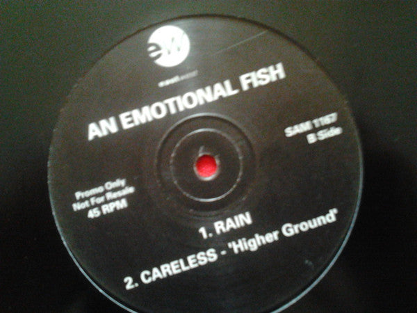 An Emotional Fish : Rain (12", Promo)