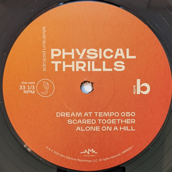 Silversun Pickups : Physical Thrills (2xLP, Album)