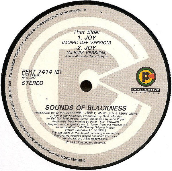 Sounds Of Blackness : Soul Holidays / Joy (12")