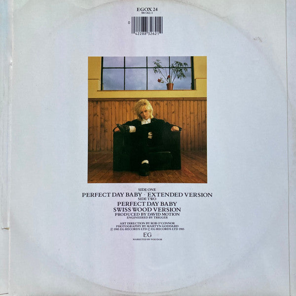 Simon Warner : Perfect Day Baby (12")