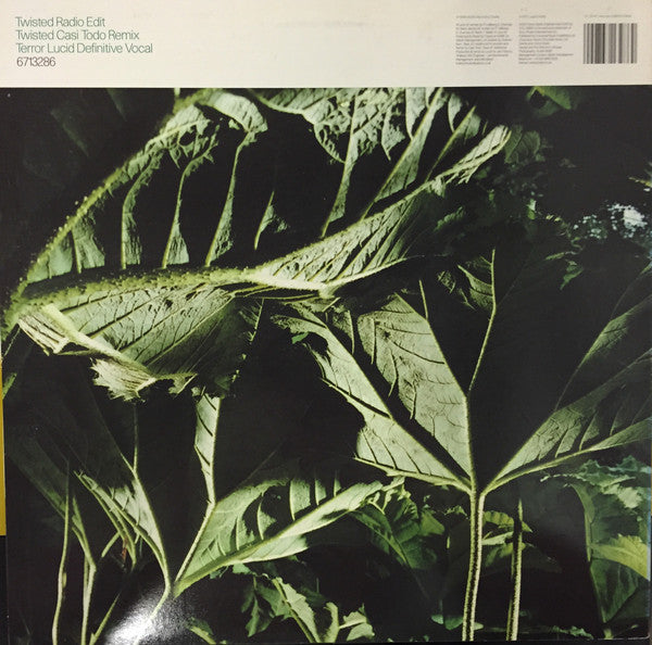 Fused : Twisted (12")