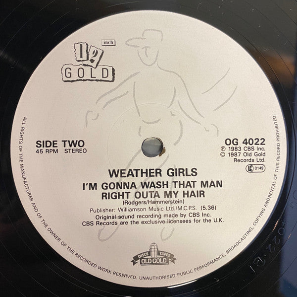 The Weather Girls : It's Raining Men (12")