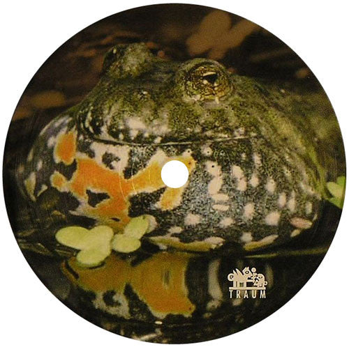 Dominik Eulberg : Rotbauchunken Remixe (12")