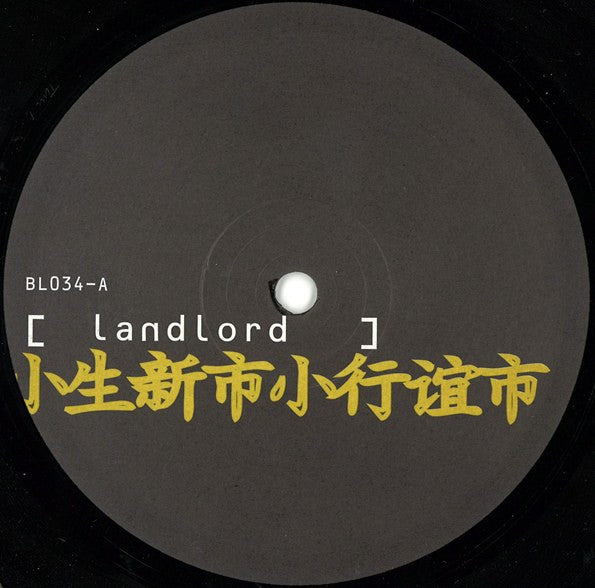 Landlord : The Shift (12")