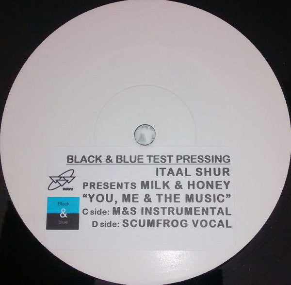 Itaal Shur Presents Milk & Honey : You, Me & The Music (2x12", Promo)