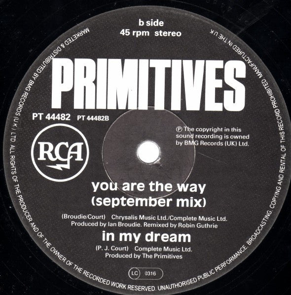 The Primitives : You Are The Way (12", Single)