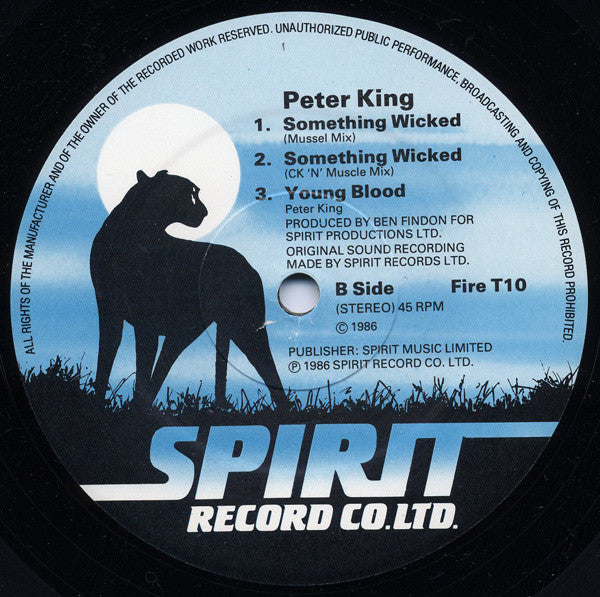 Peter King (28) : Something Wicked (12", Single)