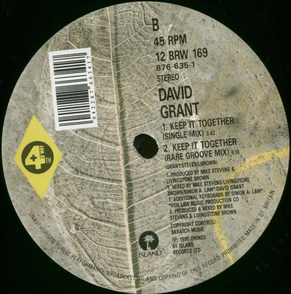 David Grant : Keep It Together (12")