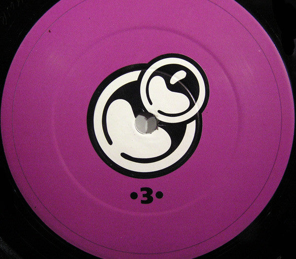 Go > Zo : All The Bitches In The House (12")