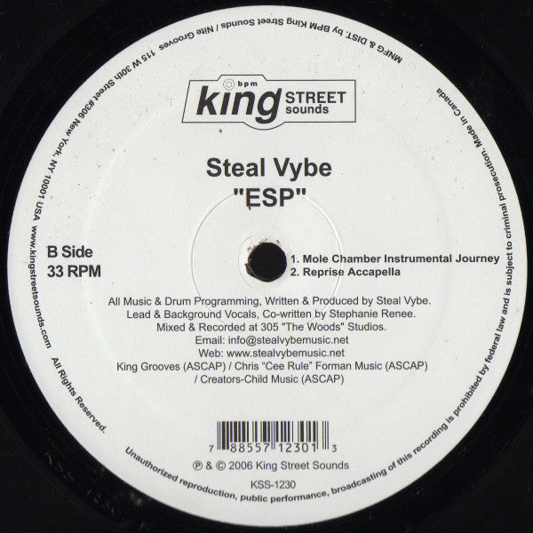 Steal Vybe : ESP (12")