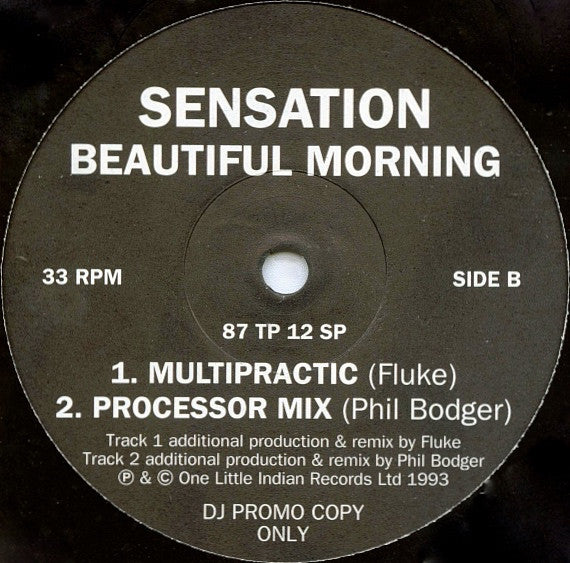 Sensation : Beautiful Morning (12", Promo)