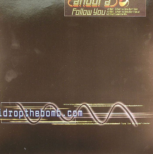 Andora : Follow You (Remixes) (12")