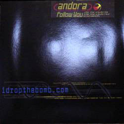 Andora : Follow You (Remixes) (12")