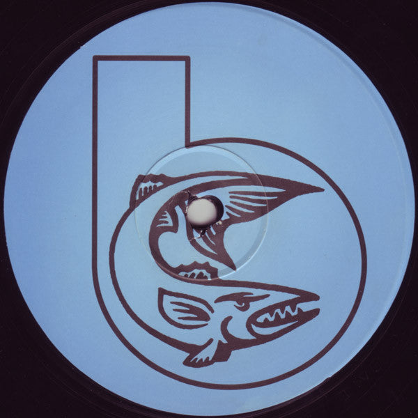 Mr. Flash (2) : Extreme Exhilaration (12")