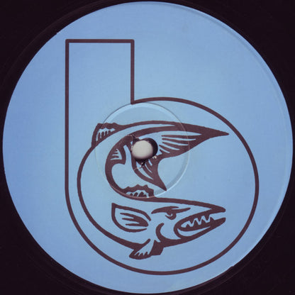 Mr. Flash (2) : Extreme Exhilaration (12")