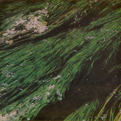 Beth Hirsch : Miner's Son (10")