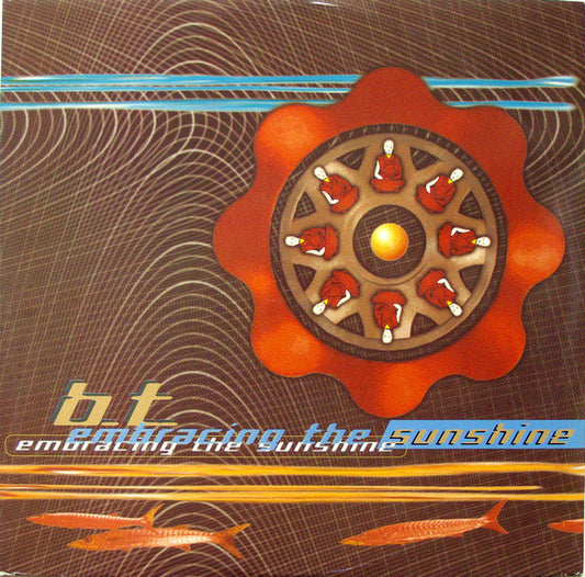 B.T.* : Embracing The Sunshine (12", Single)
