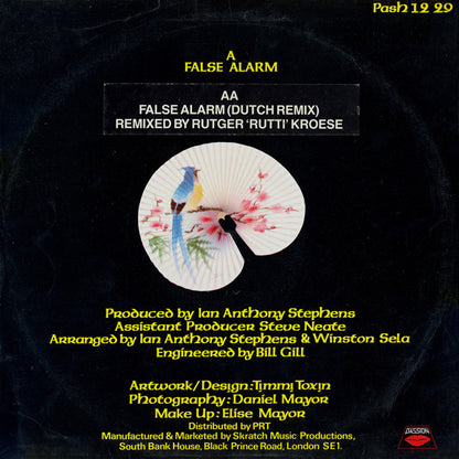 Marsha Raven : False Alarm / False Alarm (Dutch Remix) (12")