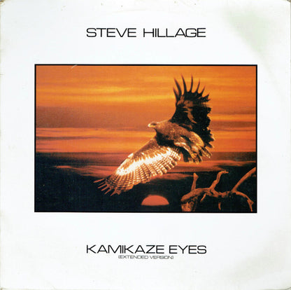 Steve Hillage : Kamikaze Eyes (12")