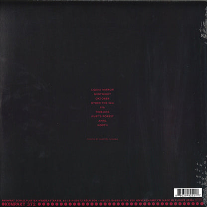 Anton Kubikov : Whatness (LP, Album)