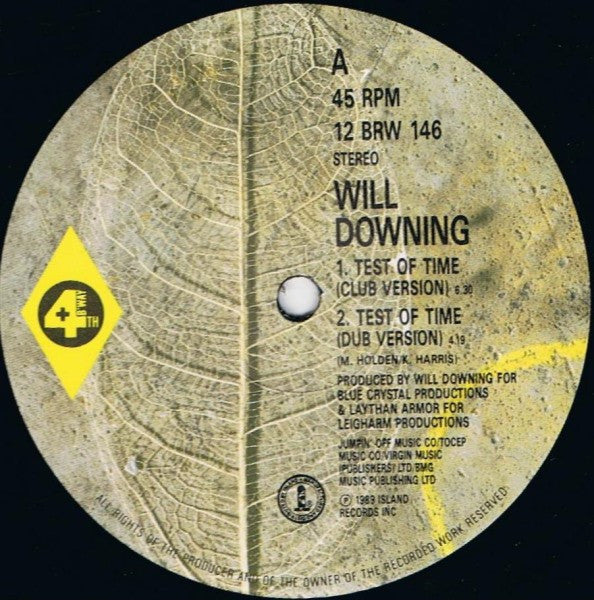 Will Downing : Test Of Time (12", Single)