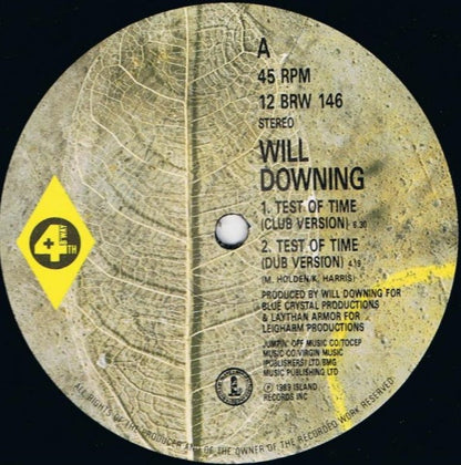 Will Downing : Test Of Time (12", Single)