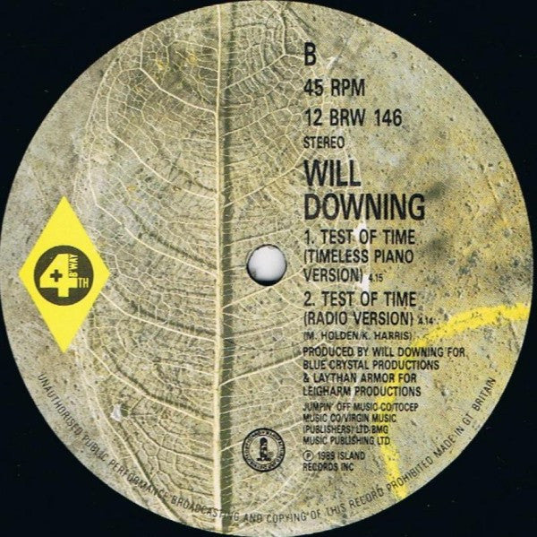 Will Downing : Test Of Time (12", Single)