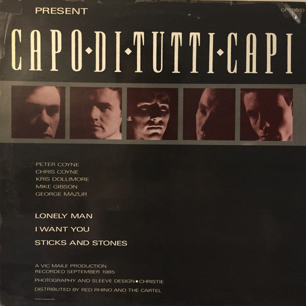 The Godfathers : Capo Di Tutti Capi (12")
