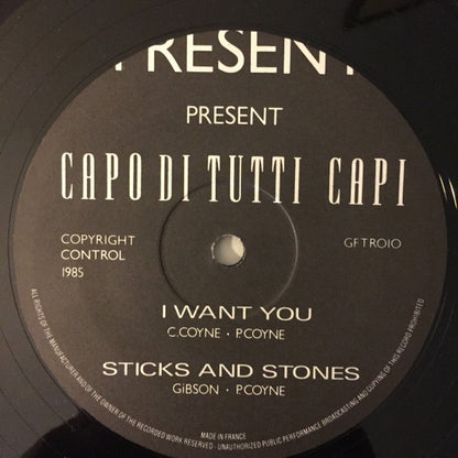 The Godfathers : Capo Di Tutti Capi (12")