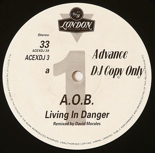 Ace Of Base : Living In Danger (12", S/Sided, Promo)
