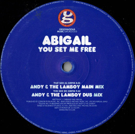 Abigail : You Set Me Free (12", Promo)