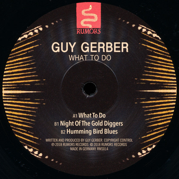 Guy Gerber : What To Do (12", EP)