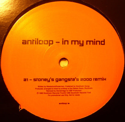 Antiloop : In My Mind (12", Promo)