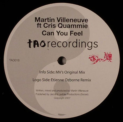 Martin Villeneuve Ft. Cris Quammie : Can You Feel (12")