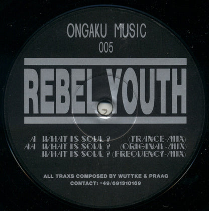 Rebel Youth : What Is Soul? (12")