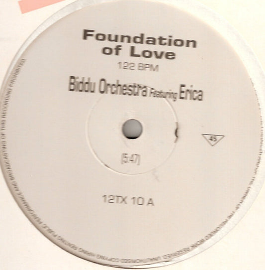 Biddu Orchestra Featuring Erica Holland : Foundation Of Love (12", Promo)