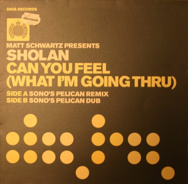 Matt Schwartz Presents Sholan : Can You Feel (What I'm Going Thru) (Sono Remixes) (12")
